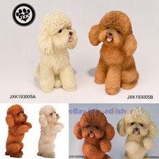 JXK simpatico barboncino cane