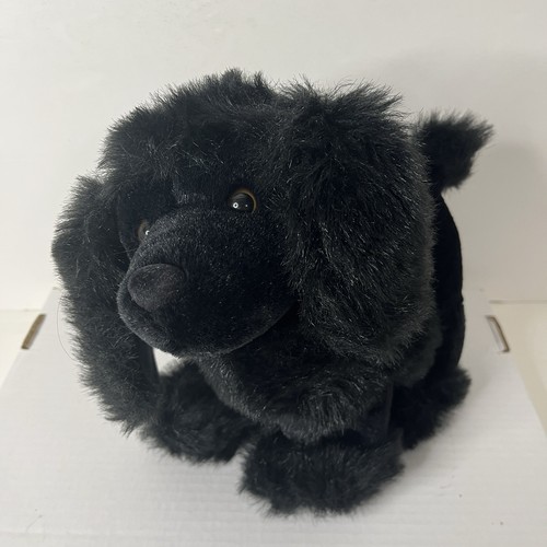 Barboncino nero peluche - barboncino,