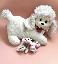 🖤 Sorpresa Cucciolo 🖤