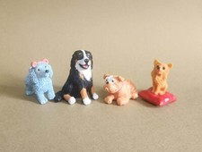 18_BARBONCINO, BERNESE