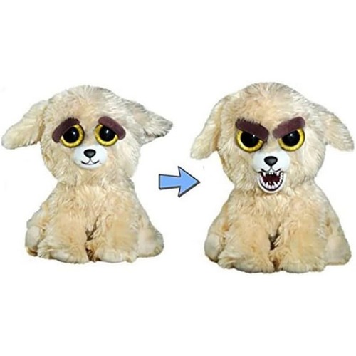 Feisty pets lunatic - pets,