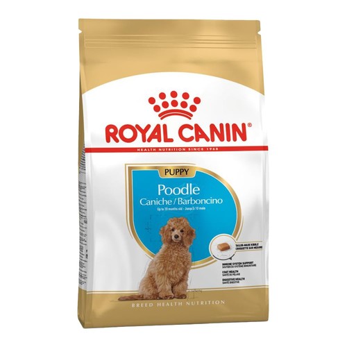 Poodle puppy alimento - poodle,