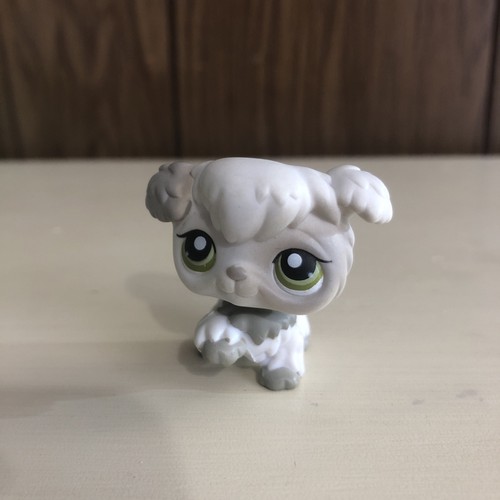 Littlest pet shop barboncino - pet,