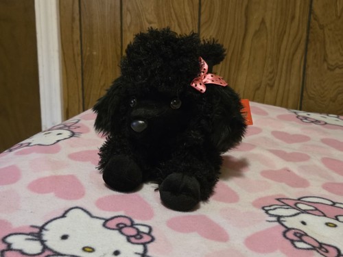 Peluche barboncino nero - , aurora