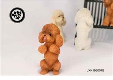 JXK simpatico barboncino cane