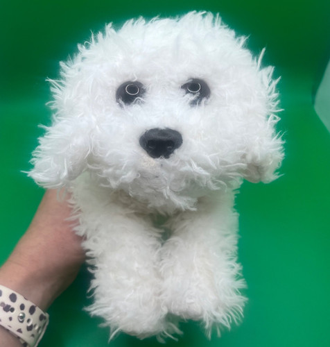 Toys animal viley dog - us,