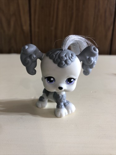Hasbro littlest pet - hasbro, shop