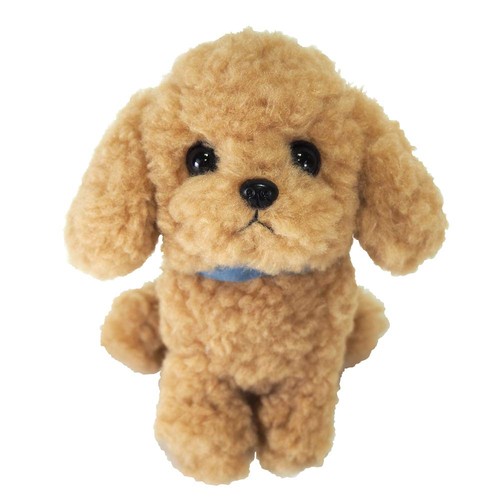 Peluche barboncino giocattolo - peluche,