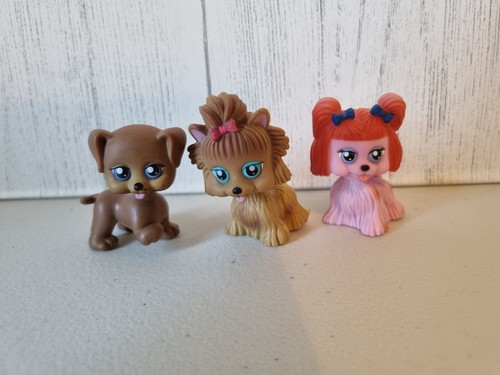 Pet pals chic boutique - pet,