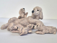 Cucciolo Nella Mia Tasca