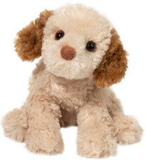 Biscotto 8" Cavapoo Douglas