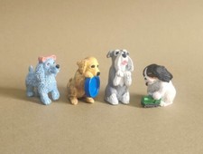 24_BARBONCINO, LABRADOR