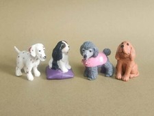 05_DALMATA, KING CHARLES