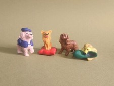 30_BARBONCINO, CHIHUAHUA