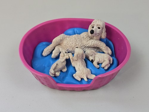 Puppy pocket barboncino - puppy, in