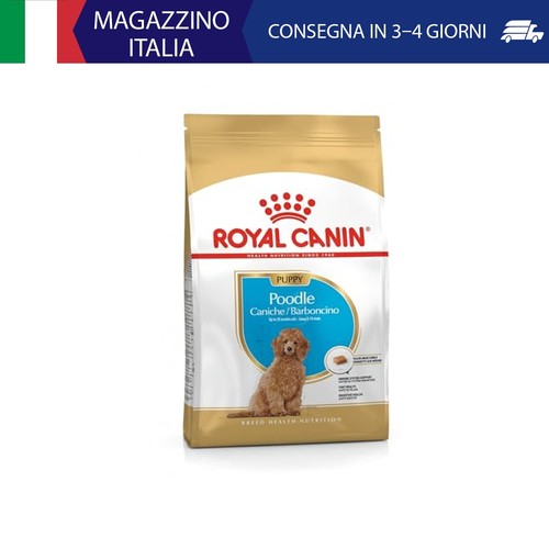Royal canin poodle - royal, puppy