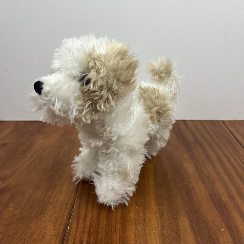 Douglas maltipoo peluche - maltipoo,