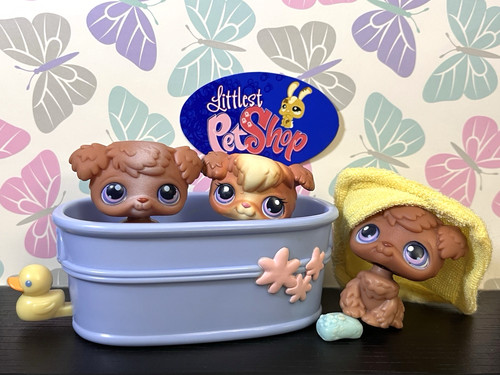 Littlest pet shop barboncino - 3,